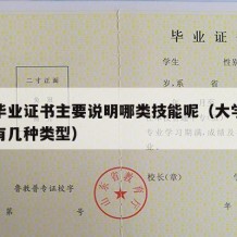 大学毕业证书主要说明哪类技能呢（大学毕业证书有几种类型）