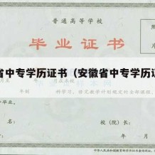 安徽省中专学历证书（安徽省中专学历证书查询）