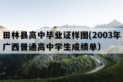 田林县高中毕业证样图(2003年广西普通高中学生成绩单）