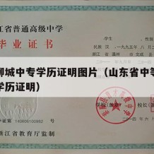 山东聊城中专学历证明图片（山东省中等职业教育学历证明）