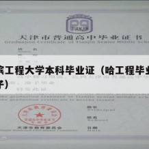 哈尔滨工程大学本科毕业证（哈工程毕业证什么样子）