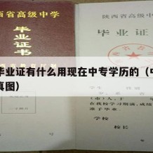 中专毕业证有什么用现在中专学历的（中专毕业证真图）