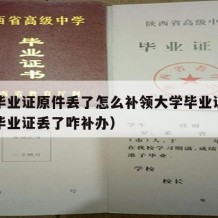 大学毕业证原件丢了怎么补领大学毕业证呢（大学毕业证丢了咋补办）