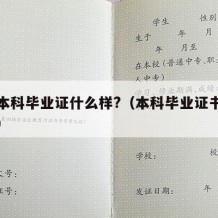 正常本科毕业证什么样?（本科毕业证书是什么样）