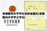 安徽医科大学学位证样本图片(安徽医科大学学士学位)