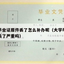 大学毕业证原件丢了怎么补办呢（大学毕业证原件丢了严重吗）