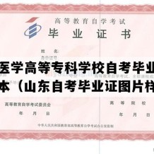 山东医学高等专科学校自考毕业证高清样本（山东自考毕业证图片样本）