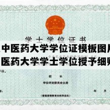 山东中医药大学学位证模板图片(山东中医药大学学士学位授予细则)