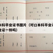 对口本科毕业证书图片（对口本科毕业证和本科毕业证一样吗）