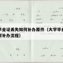 大学毕业证丢失如何补办原件（大学毕业证丢失如何补办流程）