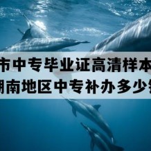 醴陵市中专毕业证高清样本(1999年湖南地区中专补办多少钱）