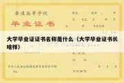 大学毕业证证书名称是什么（大学毕业证书长啥样）