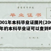 2001年本科毕业证图片(2001年的本科毕业证可以查到吗)