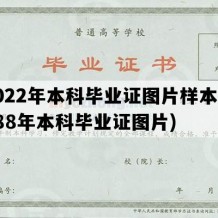 2022年本科毕业证图片样本(1988年本科毕业证图片)