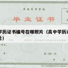 高中学历证书编号在哪照片（高中学历证书编号图片）