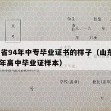 山东省94年中专毕业证书的样子（山东省1994年高中毕业证样本）