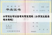 小学文化可以自考大专文凭吗（小学文化能自考大专吗）