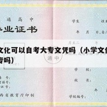 小学文化可以自考大专文凭吗（小学文化能自考大专吗）