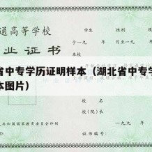 湖北省中专学历证明样本（湖北省中专学历证明样本图片）