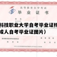 河南科技职业大学自考毕业证样图（河南成人自考毕业证图片）