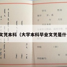 大学文凭本科（大学本科毕业文凭是什么样）