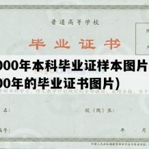 2000年本科毕业证样本图片(2000年的毕业证书图片)