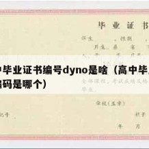 高中毕业证书编号dyno是啥（高中毕业证书编码是哪个）