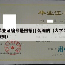 大学毕业证编号是根据什么编的（大学毕业证编码规则）