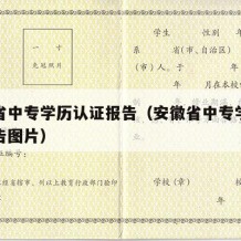 安徽省中专学历认证报告（安徽省中专学历认证报告图片）