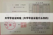 大学毕业证叫啥（大学毕业证是什么样的）