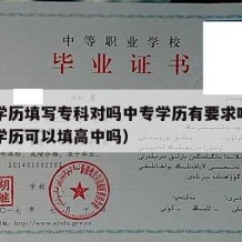 中专学历填写专科对吗中专学历有要求吗（中专填学历可以填高中吗）