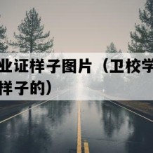 卫校毕业证样子图片（卫校学历证书是什么样子的）