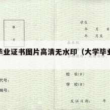 大学毕业证书图片高清无水印（大学毕业证书样子）