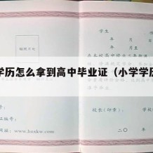 小学学历怎么拿到高中毕业证（小学学历怎么高考）