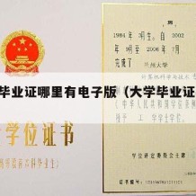 大学毕业证哪里有电子版（大学毕业证 电子版）