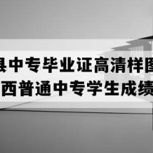 昭平县中专毕业证高清样图(1995年广西普通中专学生成绩单）