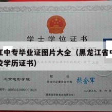 黑龙江中专毕业证图片大全（黑龙江省中等职业学校学历证书）