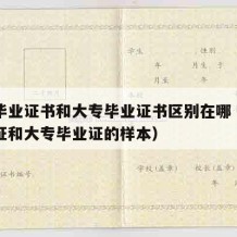 中专毕业证书和大专毕业证书区别在哪（中专毕业证和大专毕业证的样本）