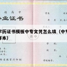 中专学历证书模板中专文凭怎么填（中专学历证书样本）