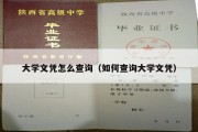 大学文凭怎么查询（如何查询大学文凭）