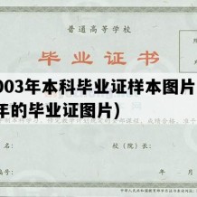 2003年本科毕业证样本图片(03年的毕业证图片)