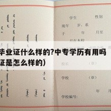 中专毕业证什么样的?中专学历有用吗（中专毕业证是怎么样的）