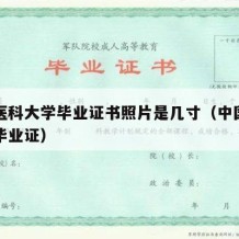 中国医科大学毕业证书照片是几寸（中国医药大学毕业证）