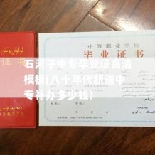 石河子中专毕业证高清模板(八十年代新疆中专补办多少钱）