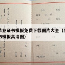 高中毕业证书模板免费下载图片大全（高中毕业证书模板高清图）