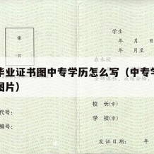 中专毕业证书图中专学历怎么写（中专学历毕业证图片）