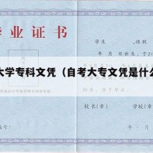 自考大学专科文凭（自考大专文凭是什么意思）