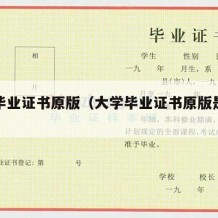 大学毕业证书原版（大学毕业证书原版是什么）