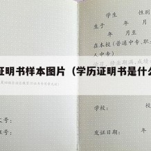 学历证明书样本图片（学历证明书是什么样的）