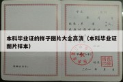 本科毕业证的样子图片大全高清（本科毕业证图片样本）